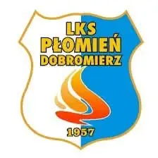 LKS Płomień Dobromierz wycofuje drużynę seniorów z rozgrywek B Klasy