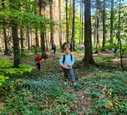 Leśna wyprawa zerówki i klasy 1 – dzieci sprzątały las i uczyły się od leśników