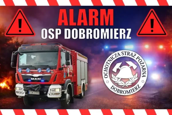 Pożar stodoły w Celowie. Interweniowali strażacy z Dobromierza