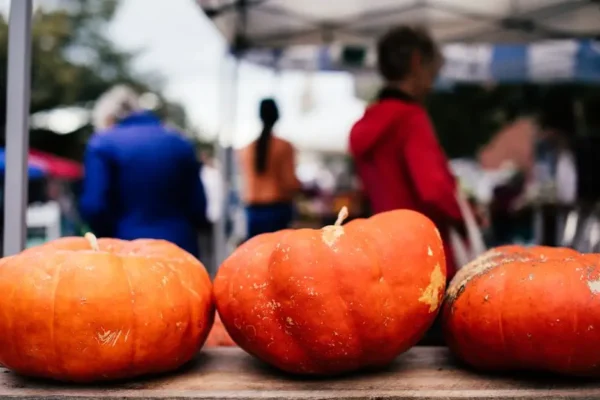 Jubileuszowe 10. Święto Dyni w Wierzbnej – pomarańczowy festiwal lokalnej społeczności