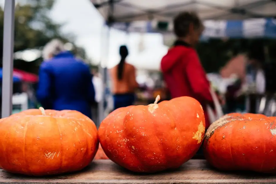 Jubileuszowe 10. Święto Dyni w Wierzbnej – pomarańczowy festiwal lokalnej społeczności